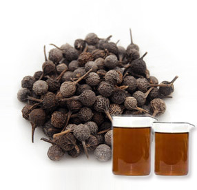 Cubeb Oil